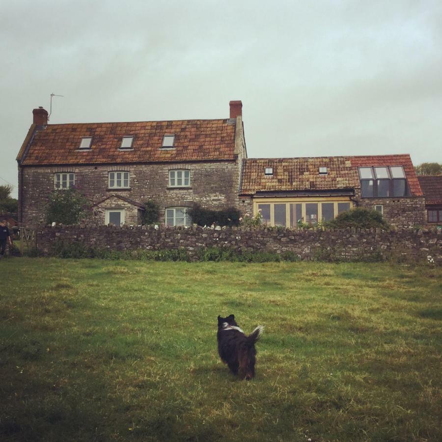 Castle Farm Panzió Wedmore Kültér fotó