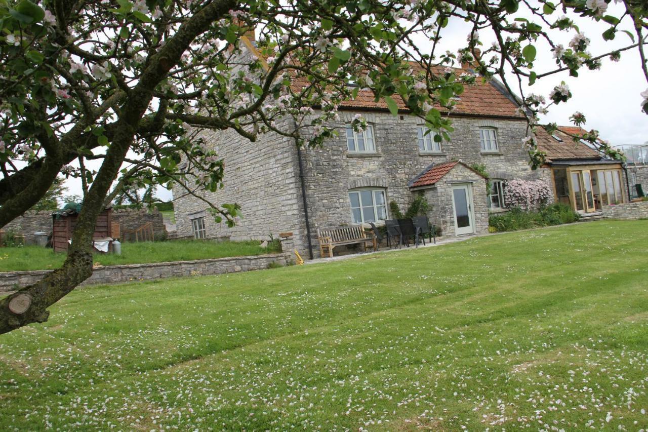 Castle Farm Panzió Wedmore Kültér fotó