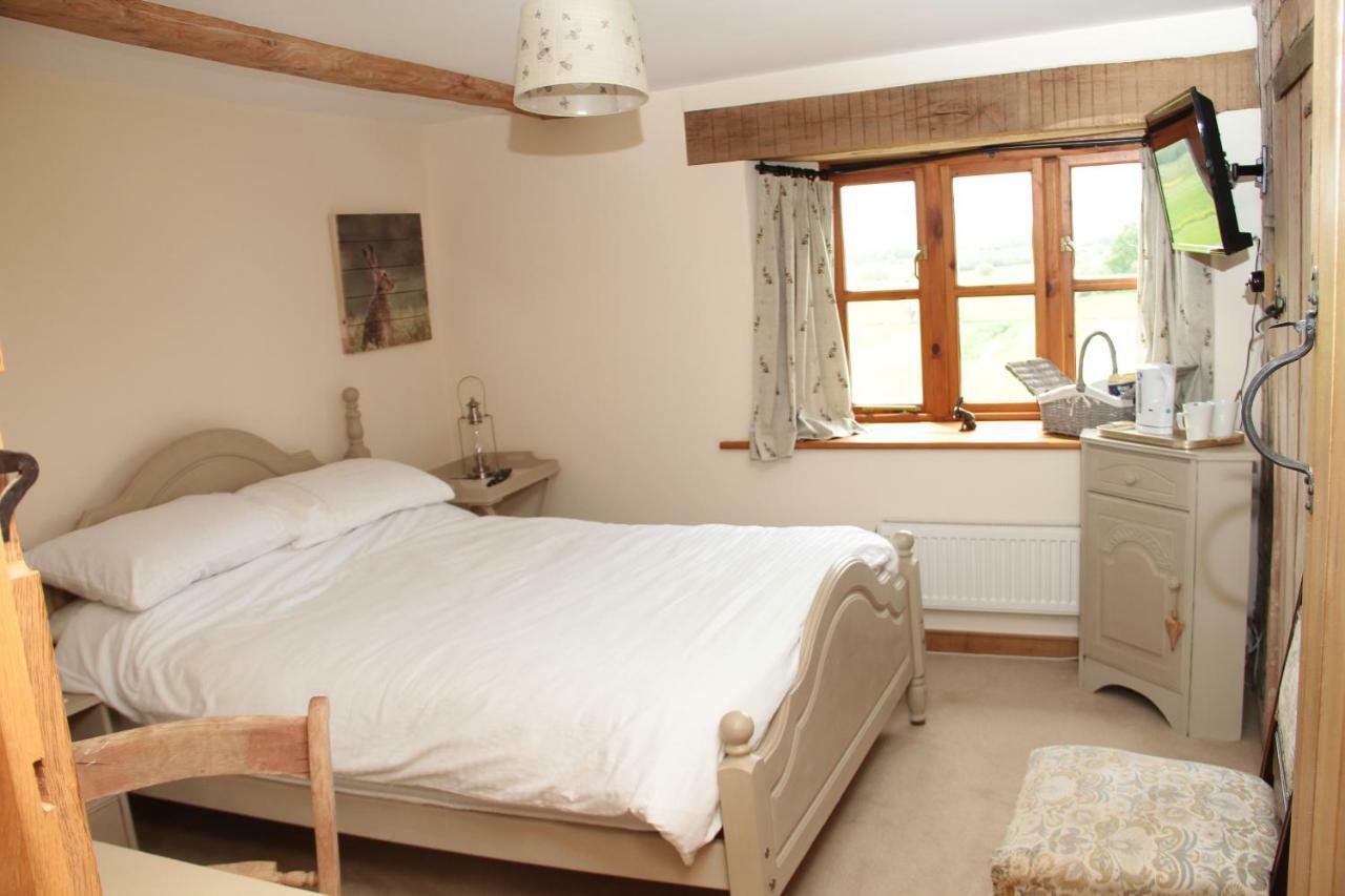 Castle Farm Panzió Wedmore Kültér fotó